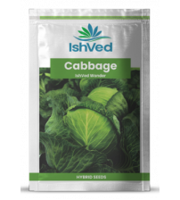 Cabbage / Patta Gobi IVTMP-04 10 grams